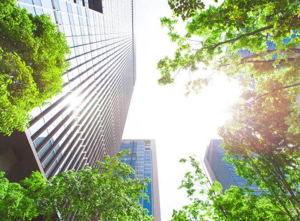 modern building surrounded by trees