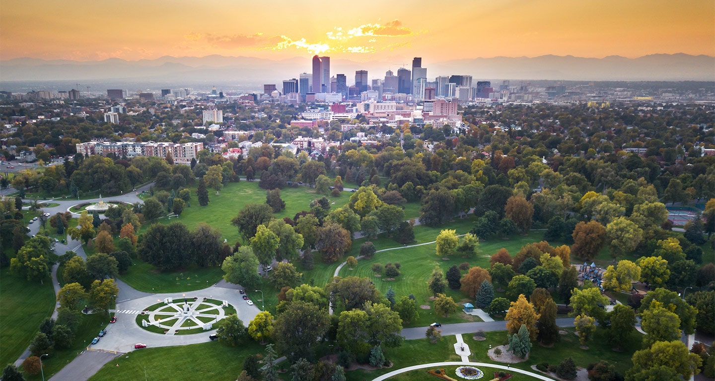 green landscape in an urban environment